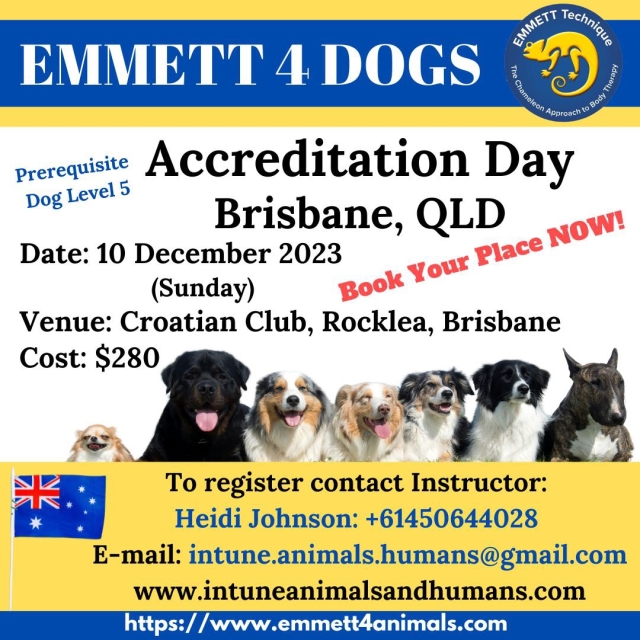Dog Accreditation Day - Brisbane, QLD - 10 Decemebr 2023