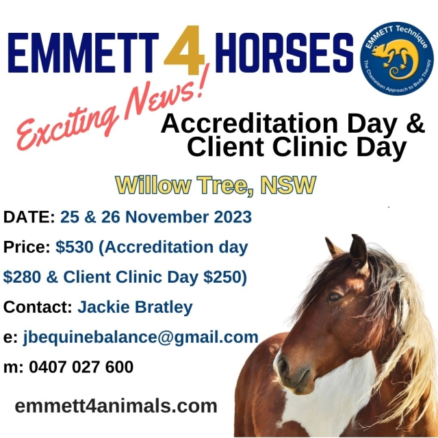 Horse Accreditation Day & Client Clinic Day - AUST - NSW - Willow Tree - 25 & 26 November 2023
