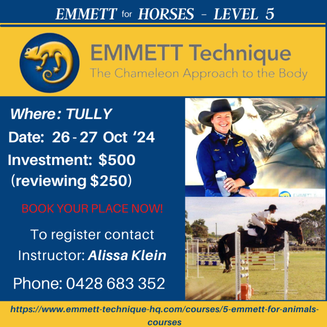 Horse Level 5 - AUST - QLD - Tully - 26 & 27 October 2024